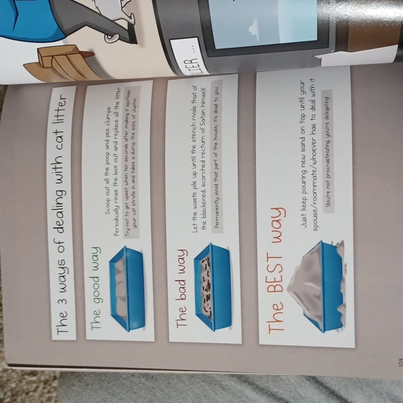 How to tell if your cat is plotting to kill you - Picture 9 of 12